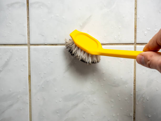 Best Emergency Mold Removal  in New Fairview, TX