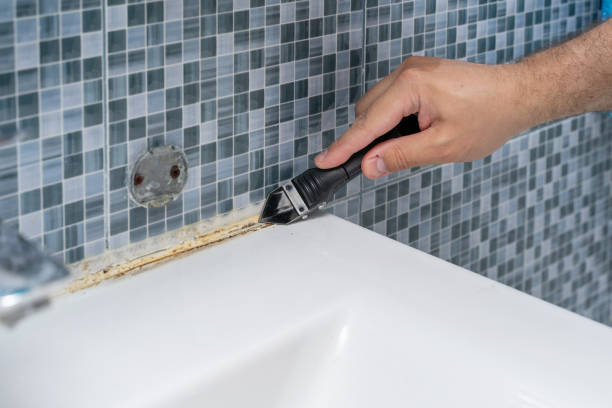 Trusted New Fairview, TX Mold Removal Experts